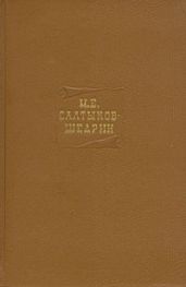 Том 15. Книга 1. Современная идиллия