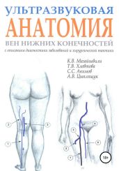 Ультразвуковая анатомия вен нижних конечностей