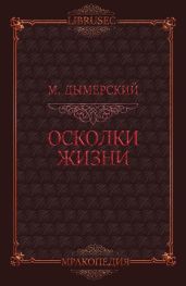 Осколки жизни