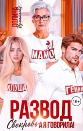 Развод. Свекровь - а я говорила!