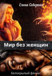Мир без женщин